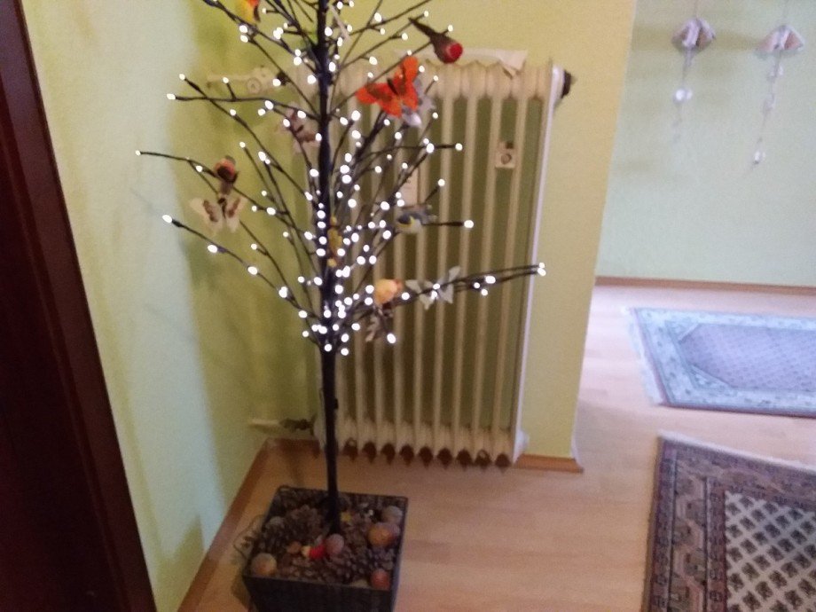 20210806_114959 Wohnung K�ln