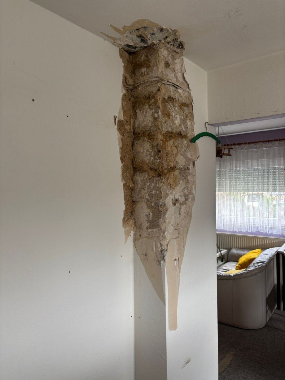 IMG-20250930-WA0054 Einfamilienhaus Erftstadt